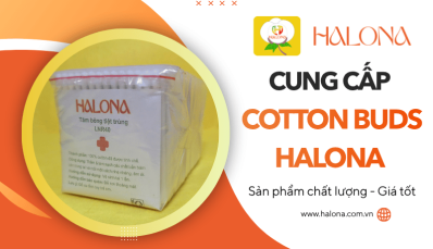 Cotton Buds HALONA - Nhà sản xuất tăm bông cotton chất lượng tại Việt Nam